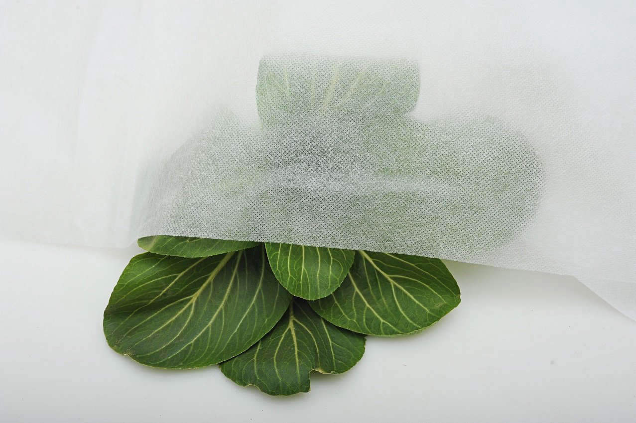 10 Easy Pieces Plant Blankets Gardenista