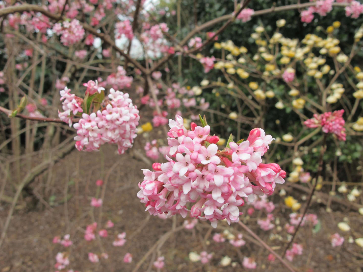 Photograph by Kristine Paulus via Flickr.