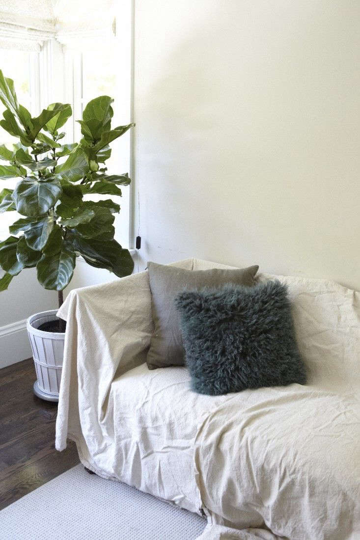 A fiddle leaf fig tree goes mobile.Photograph by Katie Newburn. For more, see Houseplants in the Bedroom, Teen Edition.