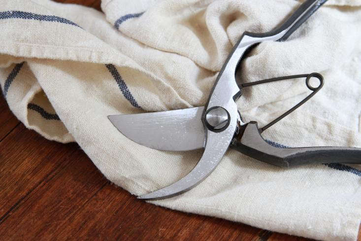 Photograph by Erin Boyle. For more, see How to Clean and Care for Garden Pruners.
