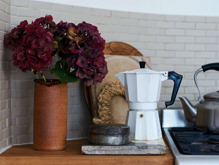 For a similar variety, Hydrangea 