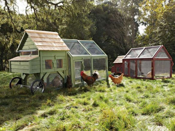 Chick-in-a-Box Chicken Coop