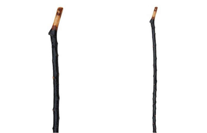 trail walking sticks