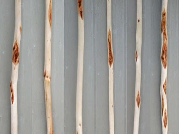 diamond hiking sticks