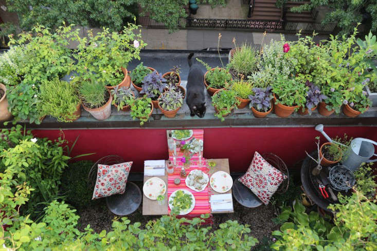 Urban Balcony Garden Ideas 5 Urban Balcony Garden Ideas 5