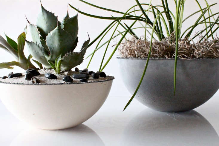 How To Plant A Succulent Container Garden In A Bowl