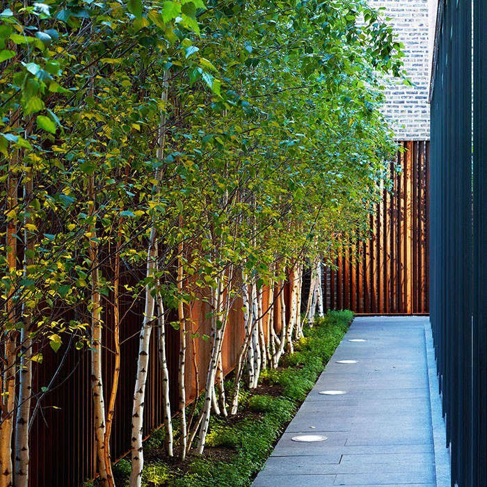 Hardscaping 101 Landscape Uplighting Gardenista Coen Partners Splash Wood Uplighting Gardenista
