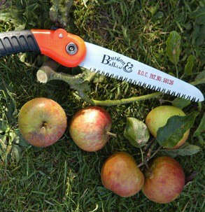 10 Easy Pieces Pruning Saws Gardenista
