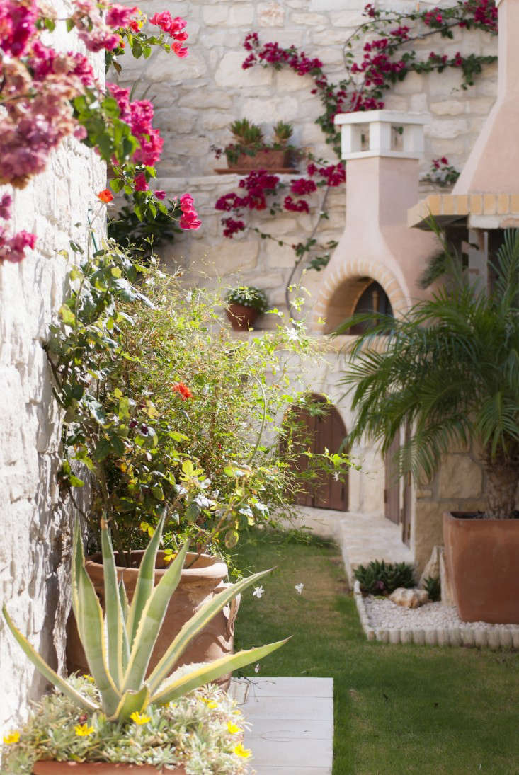 10 Garden Ideas To Steal From Greece Gardenista