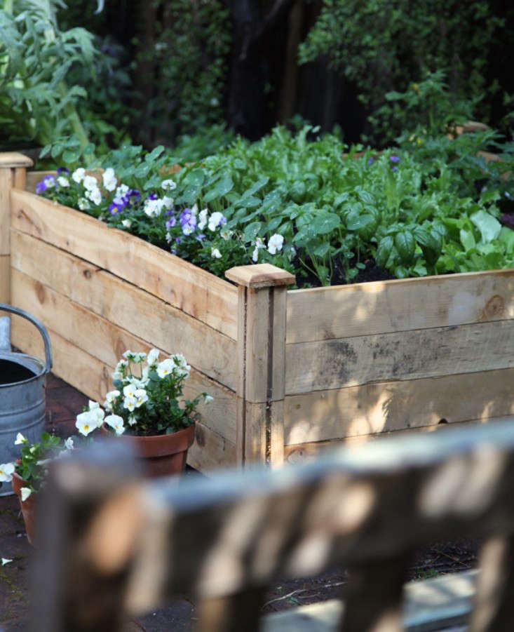 An (Almost) Instant Vegetable Garden, No Tools Required - Gardenista