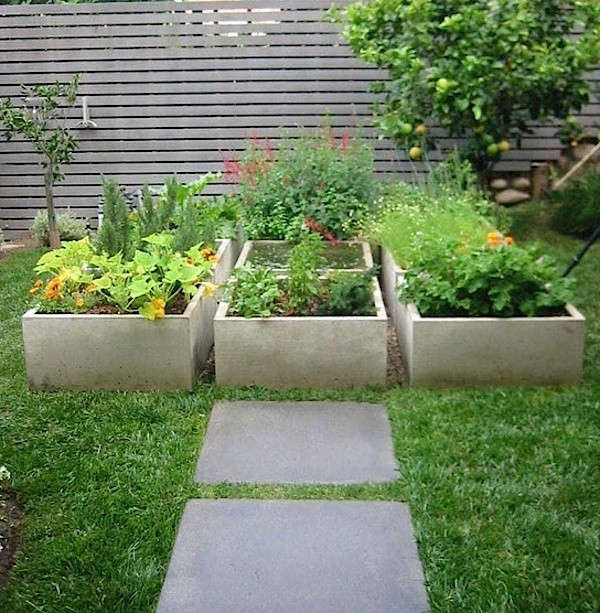 Backyard raised garden bed ideas