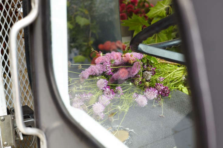 Above The Wild Bounty Inside Truck Can Seem To Overflow Its Not Unusual For Passersby Peek See Blooms Fuzzy Baby Quince Potato Sized Above The Wild Bounty Inside Truck Can Seem To Overflow Its Not Unusual For Passersby Peek See Blooms Fuzzy Baby Quince Potato Sized