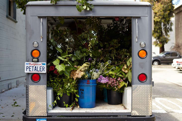 Above Rebekah Northway Has Been A Florist For Eight Years When She Realized Couldnt Fit Tall Branches In Her Old Sport Utility Vehicle Above Rebekah Northway Has Been A Florist For Eight Years When She Realized Couldnt Fit Tall Branches In Her Old Sport Utility Vehicle