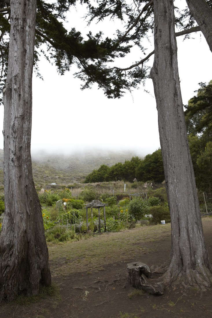 Slide Ranch, at the Edge of the World Gardenista