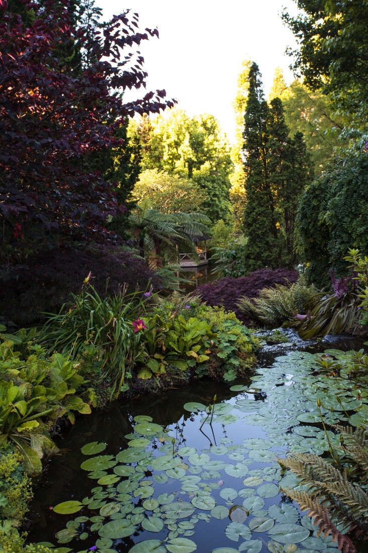 Garden Visit Beverley Mcconnell S 12 Acres Of Eden Gardenista