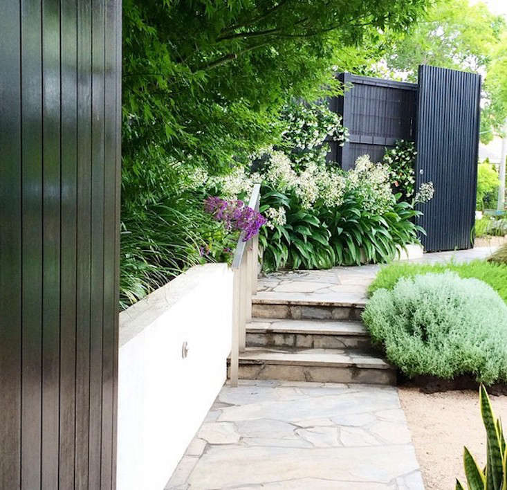 10 Easy Pieces Instant Privacy Screens Gardenista