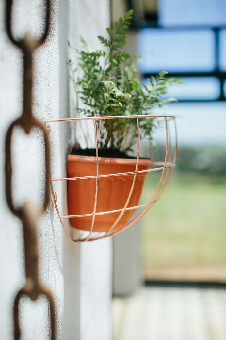 Shopper's Diary Blueberry Café in the KwaZuluNatal Midlands of South