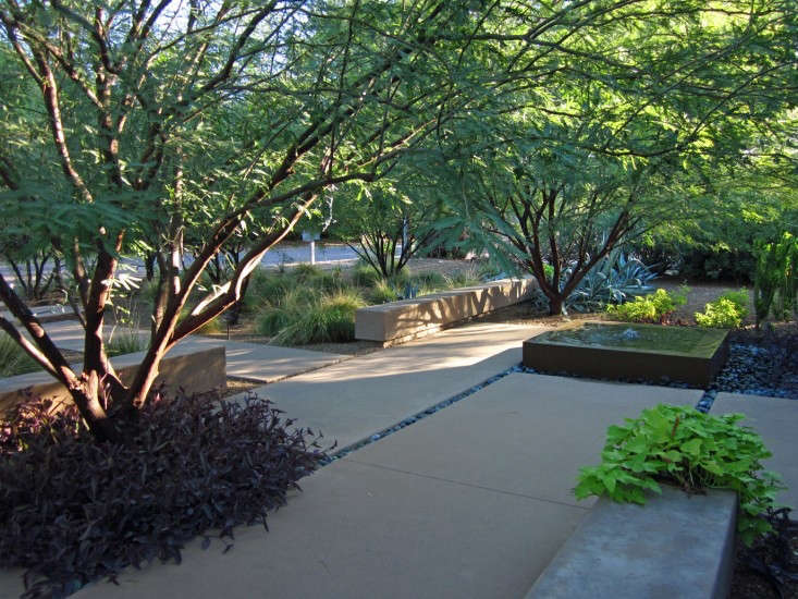 ask the expert 11 tips for designing a water conscious garden gardenista ask the expert 11 tips for designing a water conscious garden gardenista
