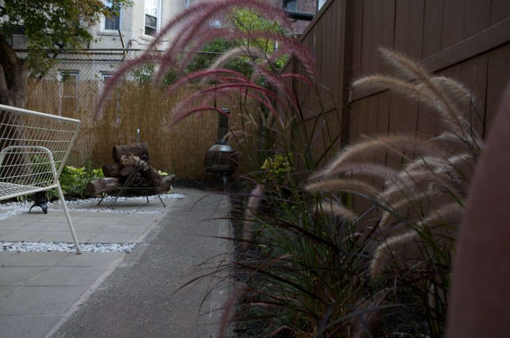 Before and After: A Modern Brooklyn Backyard on a Budget - Gardenista