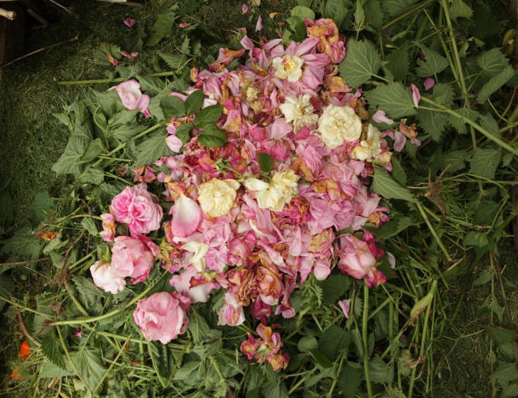 Photograph by Jim Powell, from Composting: Are You Obsessed?