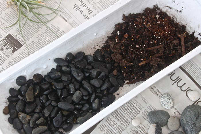 Make a mini zen garden – The Guide to being eco friendly