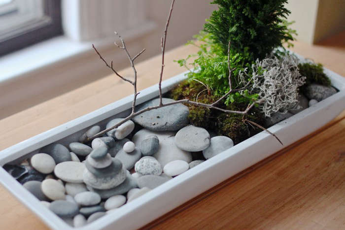 Make a mini zen garden – The Guide to being eco friendly