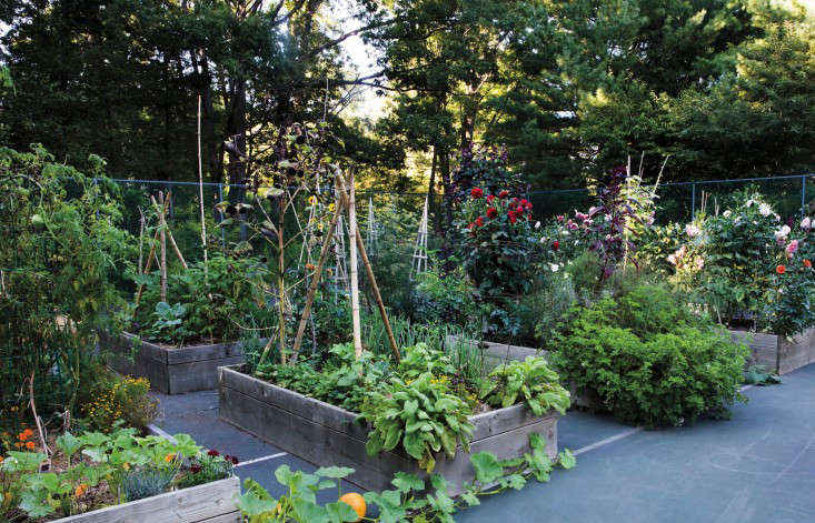 the garden decoder what