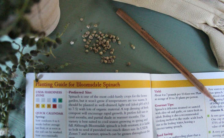 Growing Guide: 135 Rare Heirlooms from Jardin Seed Co. - Gardenista