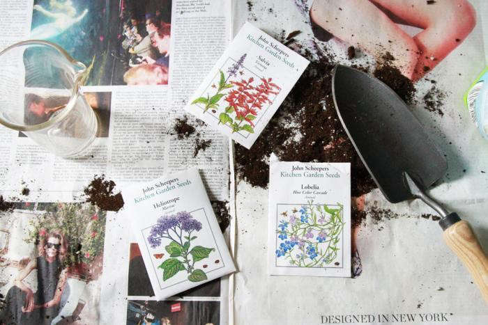 在当地的绿色花园里,苹果公司的烹饪公司,烹饪的蔬菜和蔬菜的配方。艾琳·特纳。