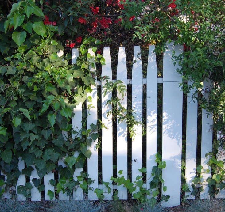 Hardscaping 101 Picket Fence