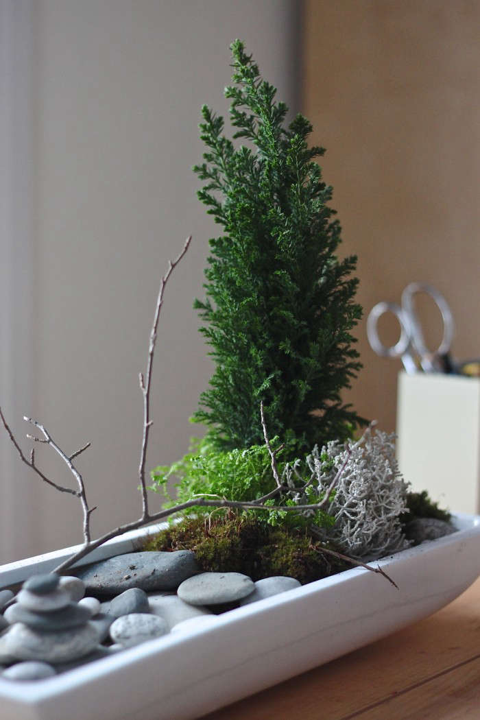 Diy A Desktop Zen Garden Gardenista