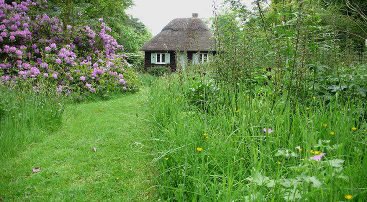 called tinkering with turf and grassy wild gardening by the garden writer anna pavord gardening in this way brings to mind the ideas of avant garde - Wild Garden called tinkering with turf and grassy wild gardening by the garden writer anna pavord gardening in this way brings to mind the ideas of avant garde - Wild Garden