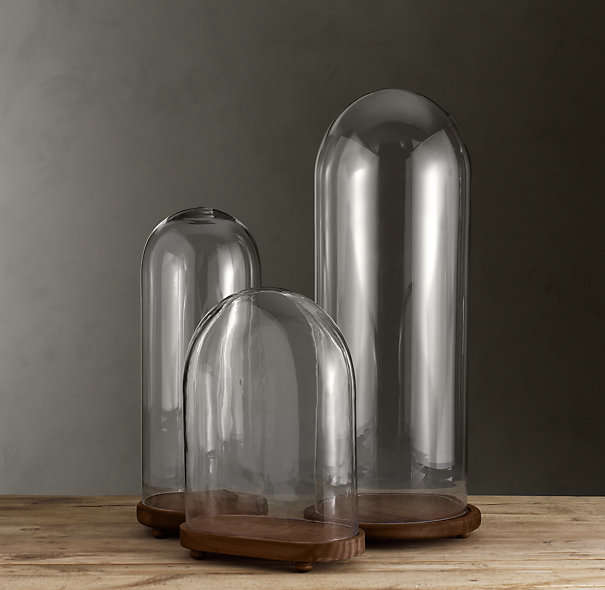 10 Easy Pieces Glass Cloche Terrariums Gardenista