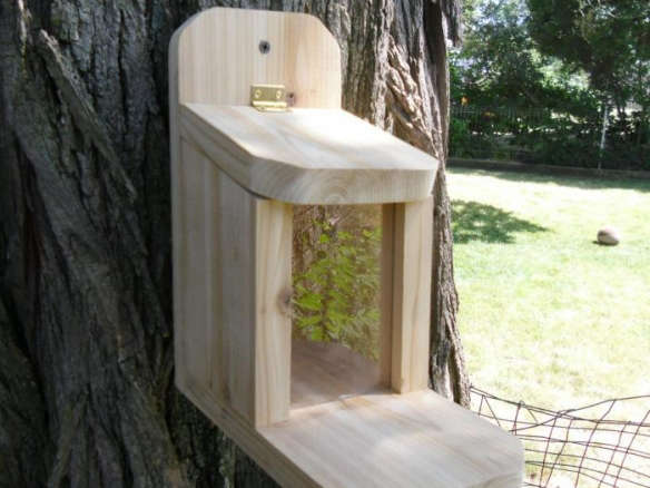 Cedar Gourmet Squirrel Feeder