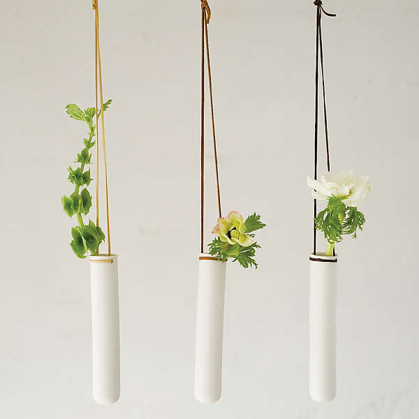 Hanging Test Tube Vases