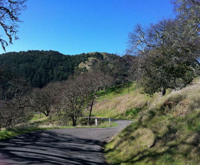 Hike of the Week A Family Walk in Calistoga Gardenista