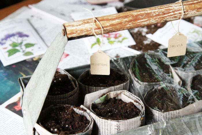 Diy Seed Starting Newspaper Pots Gardenista