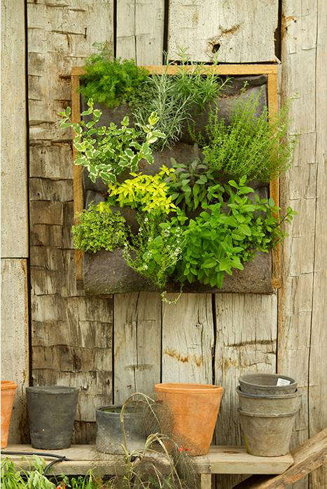 Accessories: Vertical Gardens at Terrain - Gardenista