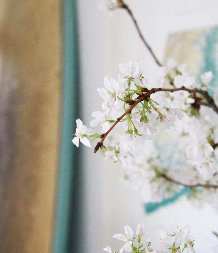 Diy The Magical Powers Of White Cherry Blossoms Gardenista