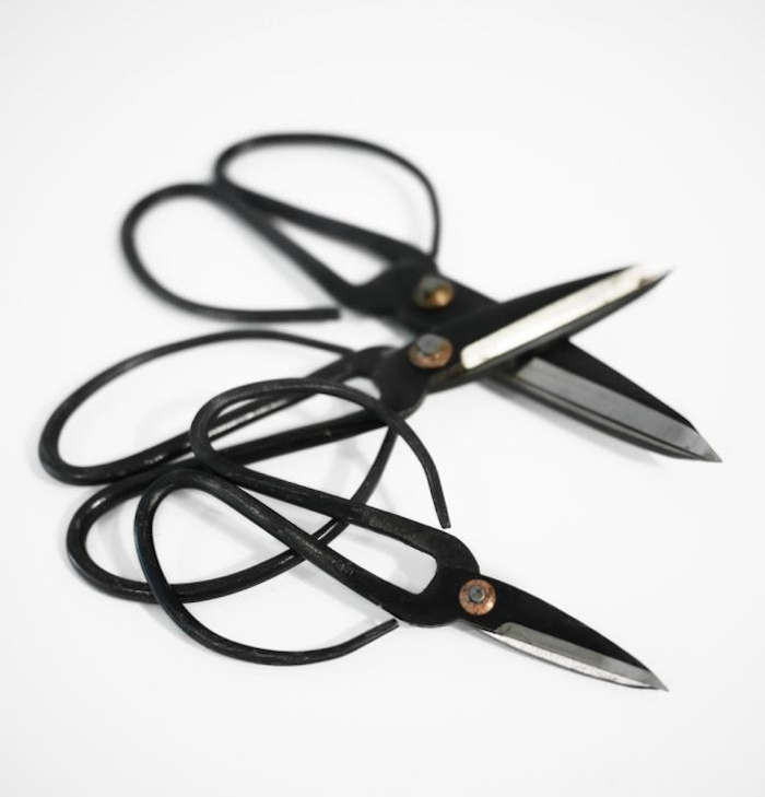 10 Easy Pieces Floral Scissors Gardenista