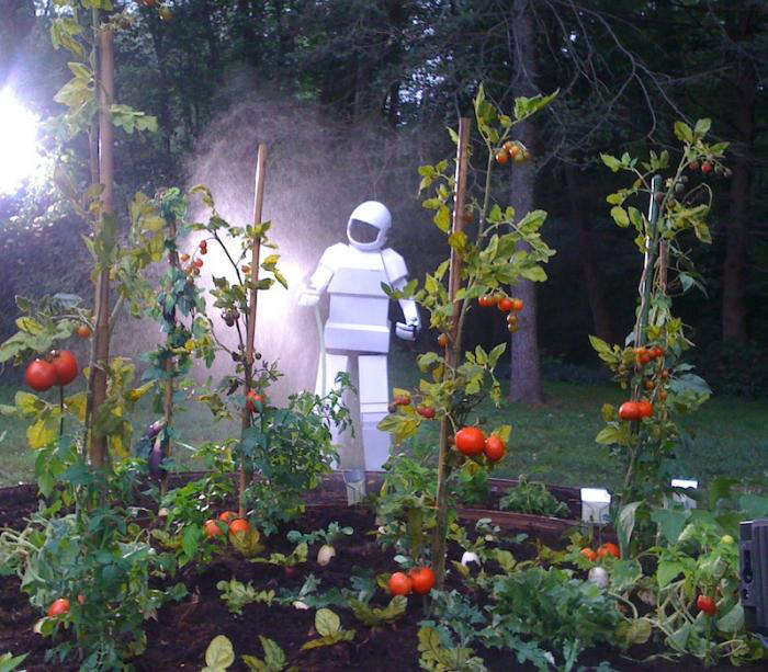BehindtheScenes Garden in Robot + Frank Gardenista