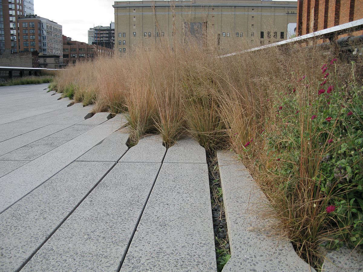 10 Garden Ideas to Steal from the High Line in New York City Gardenista