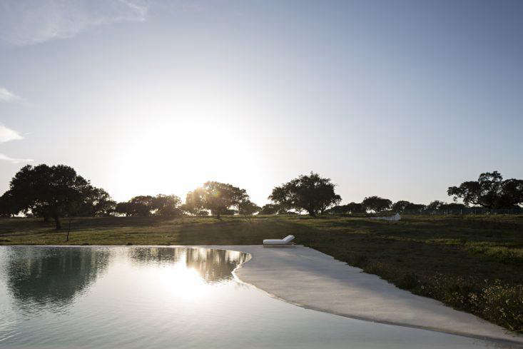 A modern pool by Lisbon architect Manuel Aires Mateus is set in a field of wildflowers and abuts a grove of cork trees. Photograph by Nelson Garrido, courtesy of Casa No Tempo.