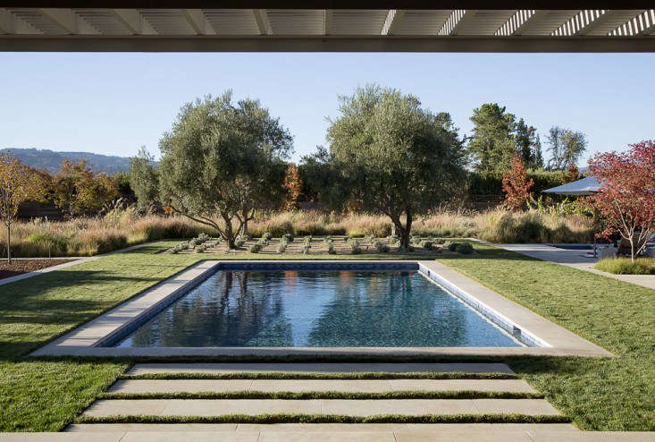 Landscape architect Scott Lewis won an American Society of Landscape Architects Honor Award for the transformation of a one-acre Napa Valley property. In the process, an existing swimming pool got a facelift: it was re-plastered (with plaster that has a gray tint to make the color of the water more reflective) and the coping is limestone. Photograph by Matthew Millman courtesy of Scott Lewis.