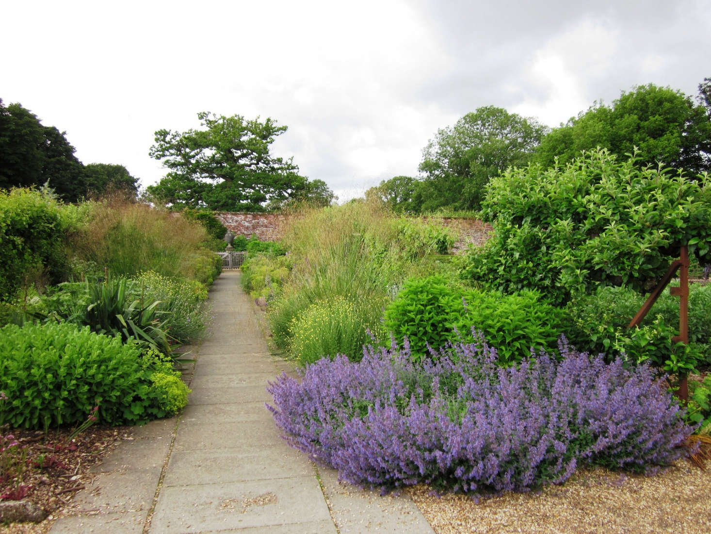 Landscaping Ideas 11 Lavender Gardens Around The World Gardenista