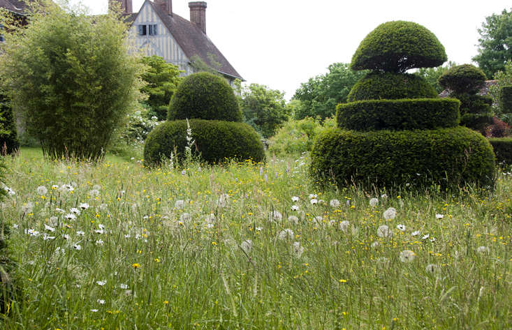 Fanciful topiaries, European yew trees dot a wildflower meadow at Great Dixter. For more, see Required Reading: Meadows at Great Dixter and Beyond. Photograph by Jonathan Buckley.