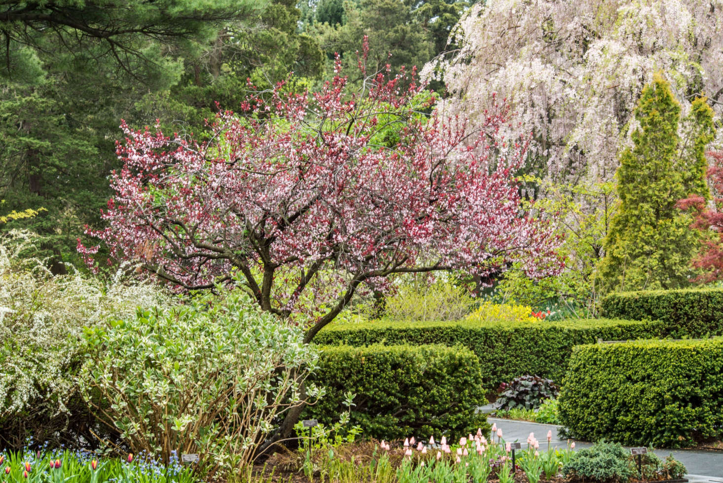 Dale Chihulys New York Botanical Garden Show Architectural Digest