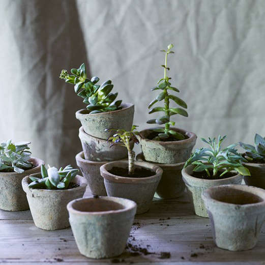 10 Easy Pieces Mossy Terra Cotta Pots and Planters Gardenista