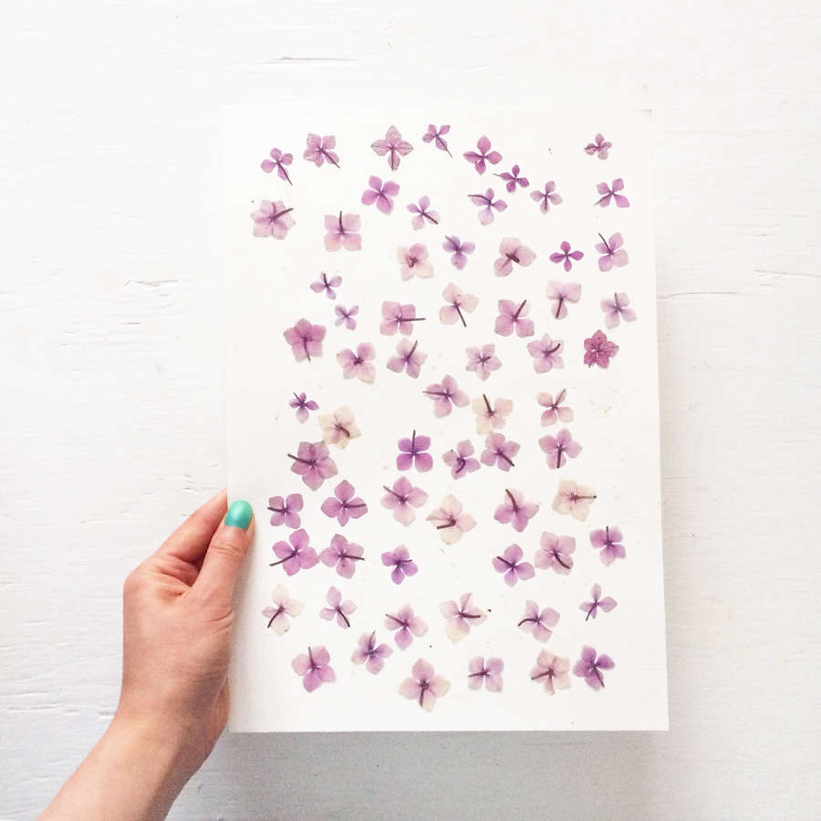 DIY Tips to Press Flowers from MR Studio London Gardenista