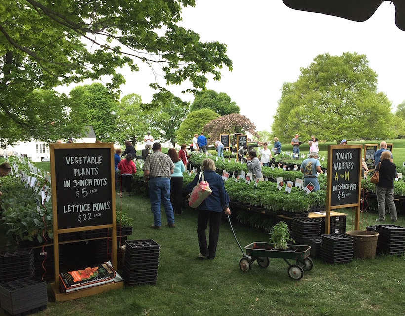 One Week Away The Great Tomato Celebration at White Flower Farm